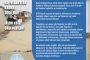 Ekonomik kriz ve afet dönemlerinin reçetesi: Hak temelli kamu hizmetleri