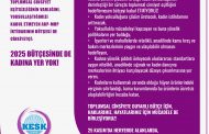 2025 Bütçesinde De Kadına Yer Yok!