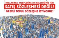 TİS Broşür ve Bildirimizi Yayınladık